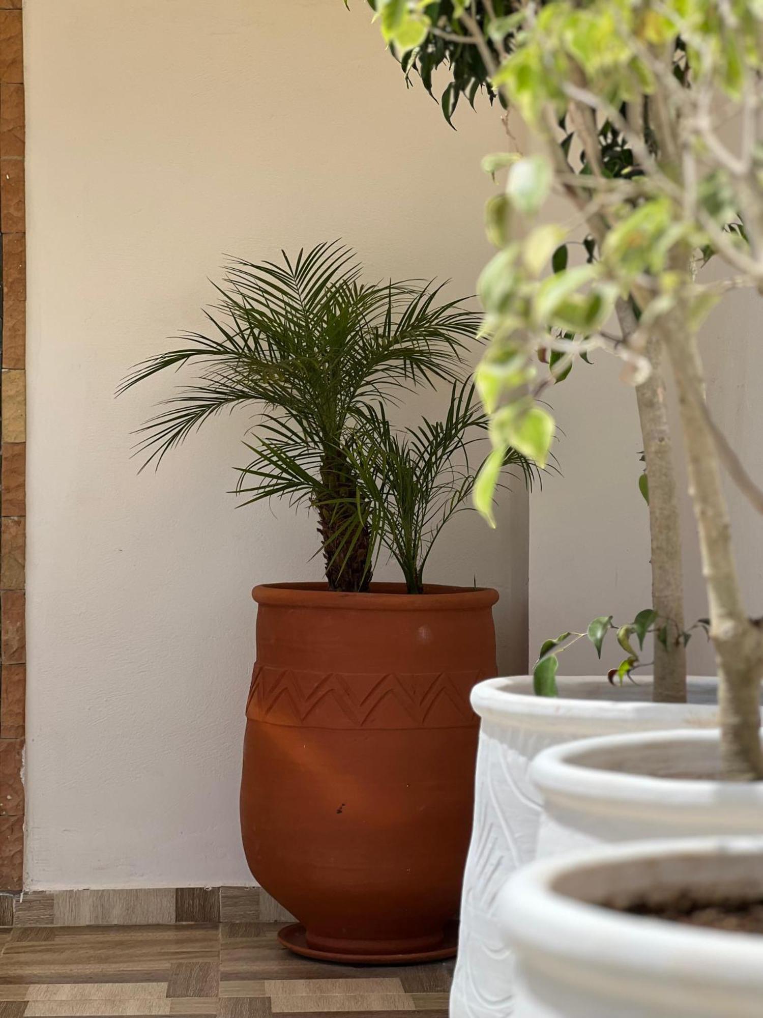 Riad Safia 라바트 외부 사진